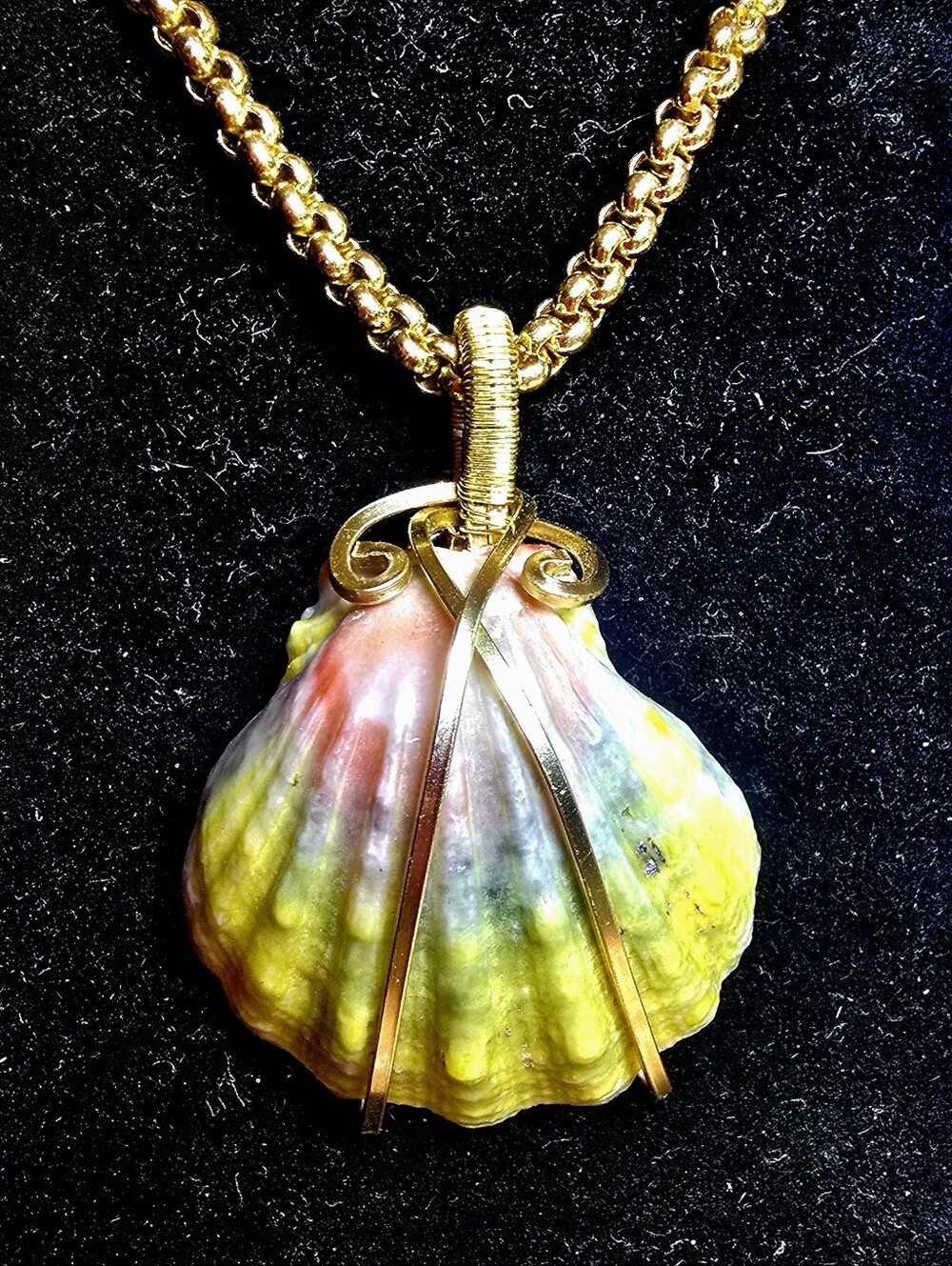 Exquisite L Full Spectrum Hawaiian Sunrise Shell Wrapped In 14kGFSq&14kGF24g
